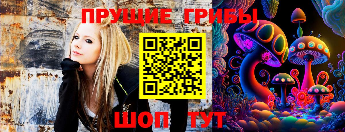 Галлюциногенные грибы прущие грибы Берёзовский