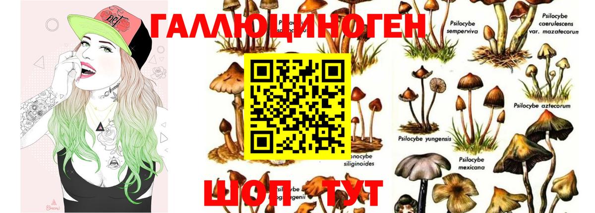 Псилоцибиновые грибы мицелий  Псилоцибиновые грибы Magic Shrooms  купить   Берёзовский  Вход с VPN 